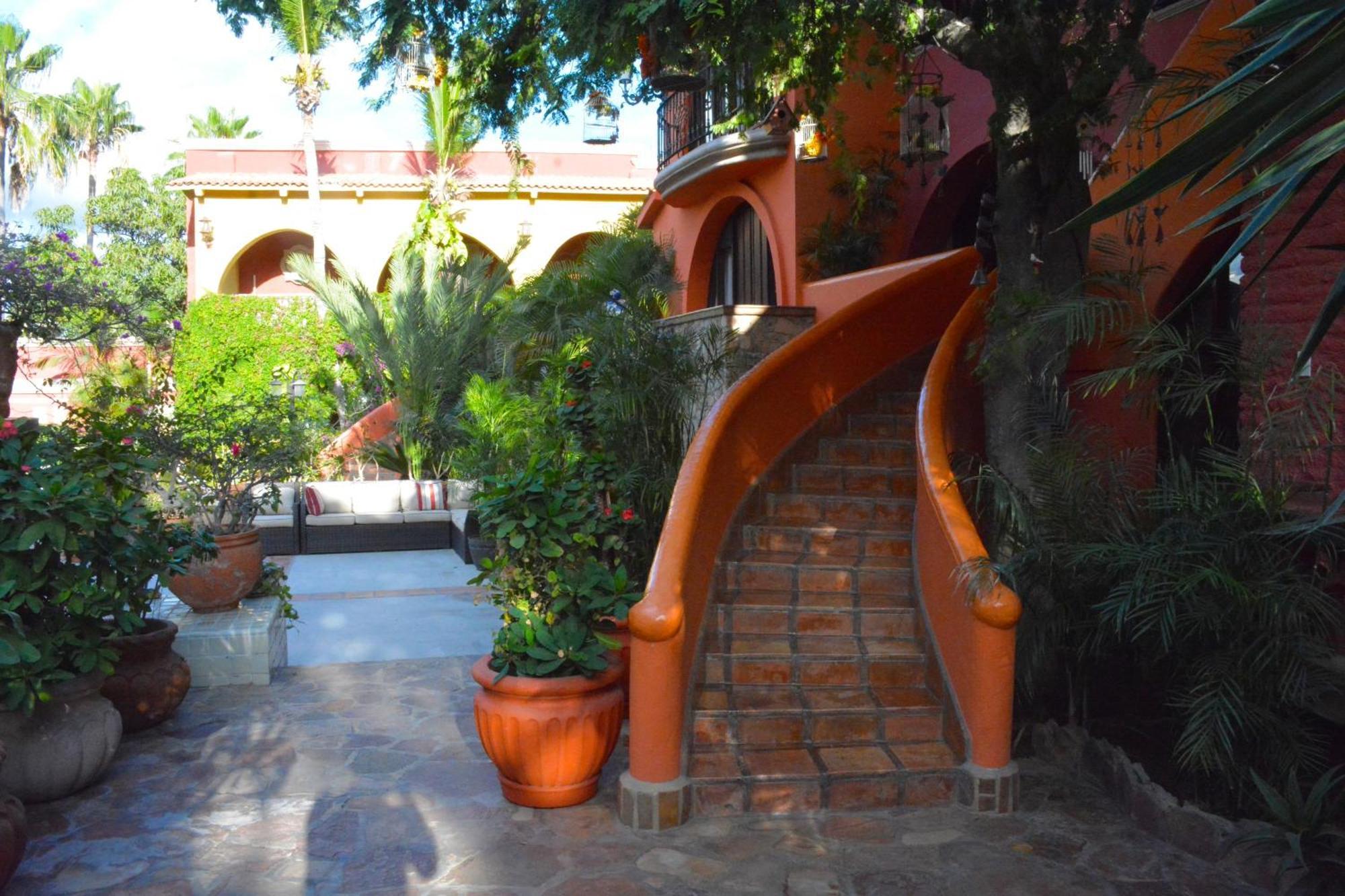 Collection O Casa Bella Hotel Boutique, Cabo San Lucas Zewnętrze zdjęcie